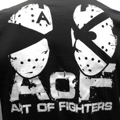 Art of Fighters-Nirvana Of Noise