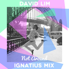 David Lim - Not Around (Ignatius Mix)