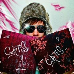 David Guetta & Avicii - Sunshine (Curtis vegas Remix)
