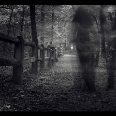 Feverland - The Ghost