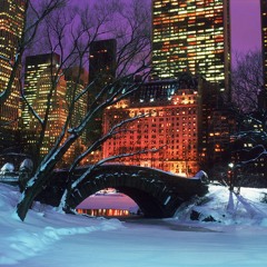 Central park (synthetic edit)