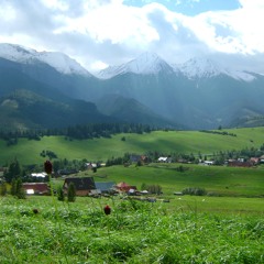 SLOW LIFE - Hinterland