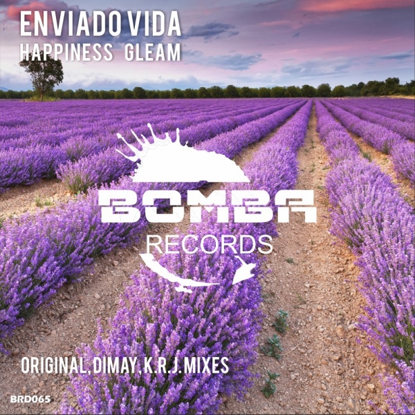 Enviado Vida - Happiness Gleam (K.R.J. Remix).mp3