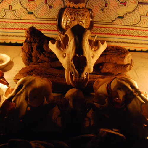 Carlos Galvis - Ayahuasca song