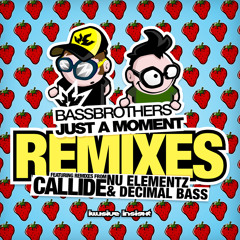BASS BROTHERS - JUST A MOMENT (NU ELEMENTZ & DECIMAL BASS REMIX) OUT NOW
