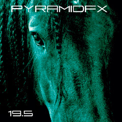 Control (extended remix)