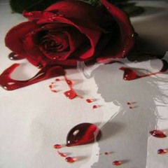 ايهاب ماردت احبك