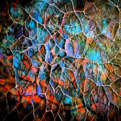 The Surrogate (original)