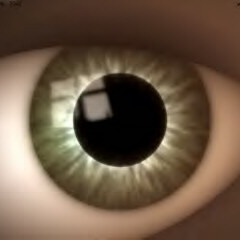 Unstrung by Exile Acoustic