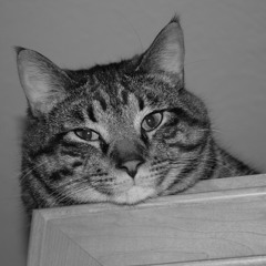 Pariah by Exile Acoustic