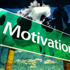 Paranoid Scarecrow & Stré - Cow Motivation *free download*