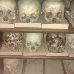 Urban Dendrite - Slide