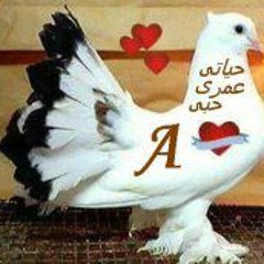 نحييك ما بتحيينا فرفور بالعود