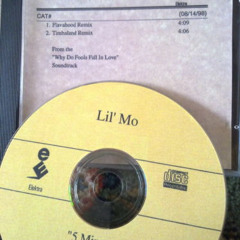 Lil Mo Feat. Missy Elliott - 5 Minutes [Timbaland Remix]