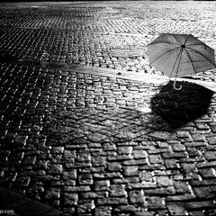 Heartless Dream