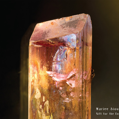 Mariee Sioux - Swimming Through Stone