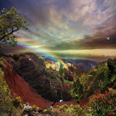 Jo Twist - FreshKosmoStars