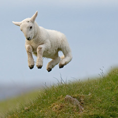 Spring Practice (The Downloadable MP3 Version :))