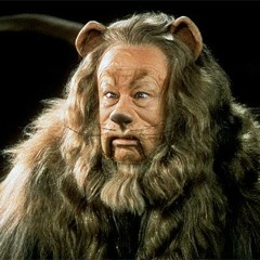 If i only had a brain