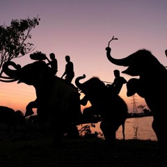 Colino - Deepened (Snipped)