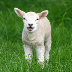 Spring Forward DJ Mix (March 2012)