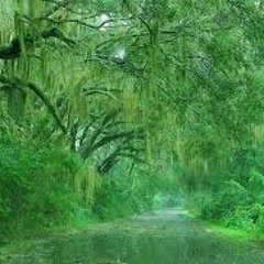 DeepN8tive (aka DJ Apache) - Bongo Karma (Tribute to Monkey)