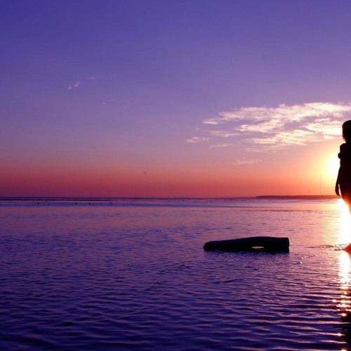 Kamil Polner Vs Kamil Polner - Equinox (A-Junie Mashup) [Vocal Mix Vs Dub Mix]