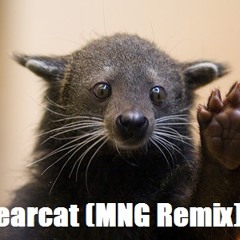 Bearcat (MNG Remix) - David Wilcox