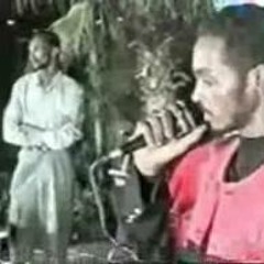 محمود عبد العزيز سمحه الصدف تسجيل قديم