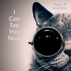 I Can See You Now (AndAWan featuring Bekah B)