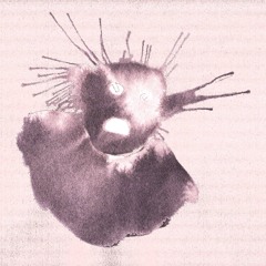 rats in the upper story - drifters & hipsters