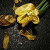 fading-flower-chien-jer-luen