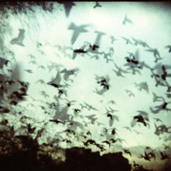 Övergreppslagrade rum