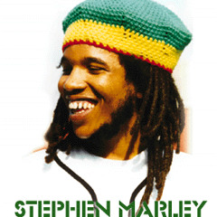 Hey baby (stephen marley remix)