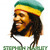 Artwork for Hey baby (stephen marley remix)