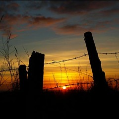 Avicii - Levels (Piano Cover)