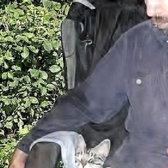 March crawling in 2 the past