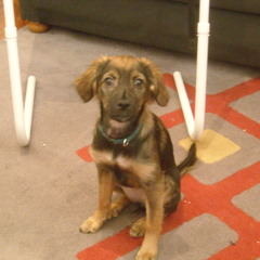 Hair Drop Dance freezed