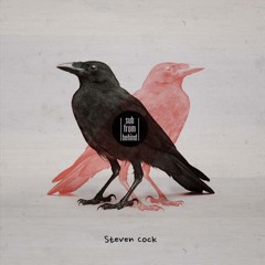 Steven Cock - so fucking deep - vekton musik