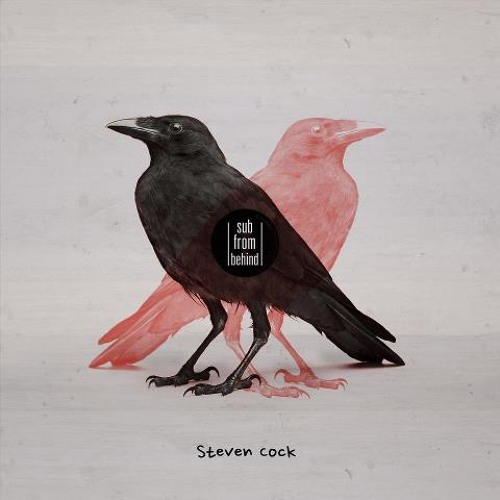 Steven Cock - so fucking deep - vekton musik
