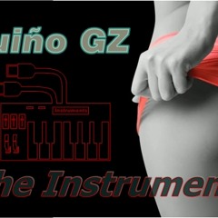 Quiño GZ - Instruments