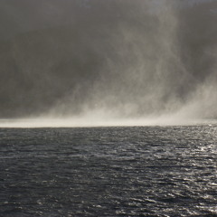 Children Of The Rain