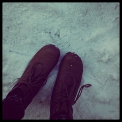 sonnets of winters tears