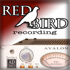 The Out From Under - Tell Me Lies