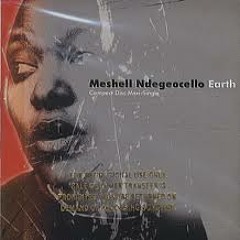 Meshell Ndegeocello - Earth Ben-Watt-39lazy-dog39-remix