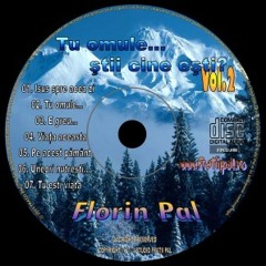 picnic Accurate Link Stream FP.CD.08 | Listen to Florin Pal - Tu omule...știi cine ești?  playlist online for free on SoundCloud