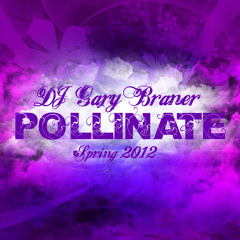 Dj Gary Braner - Pollinate