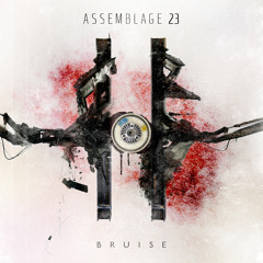 Assemblage 23 "Bruise" Previews