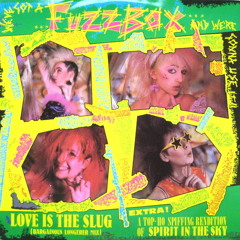 Fuzzbox - Spirit In The Sky (Shortish Mix)