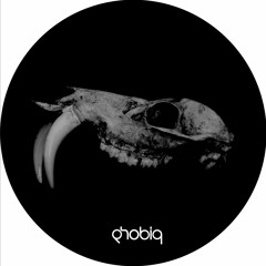 Mikael Jonasson - Evolution (Sasha Carassi Remix) [Phobiq]